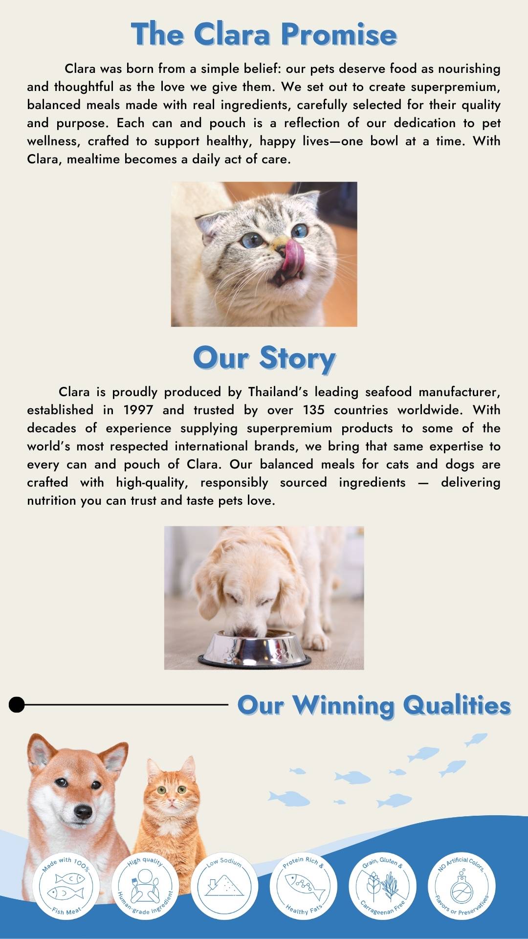 Dog Mobile Banner 2
